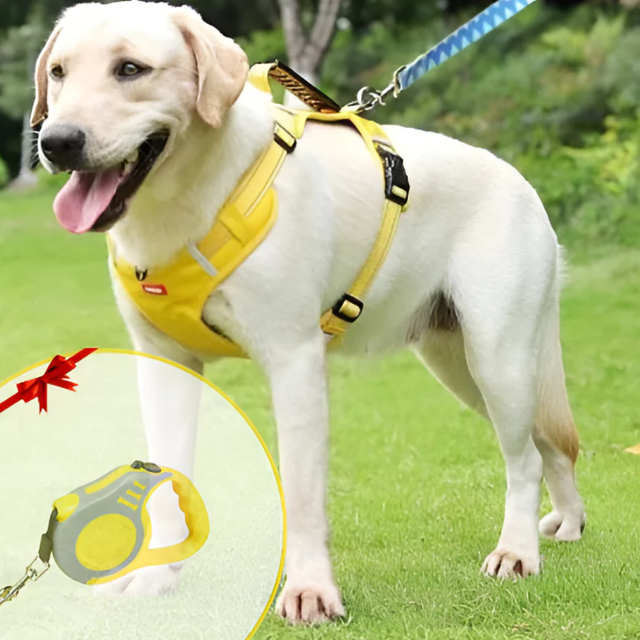DogGrip - Anti-trek hondenharnas | 50% KORTING - Image 11