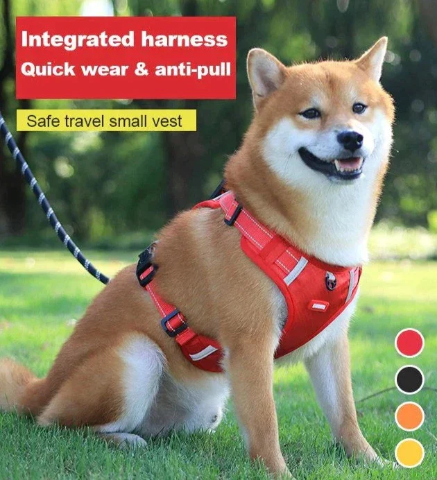 DogGrip - Anti-trek hondenharnas | 50% KORTING - Image 4