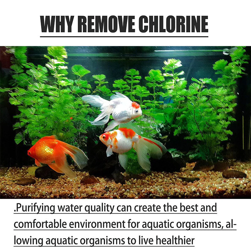 AquaPure Chlor Defense Tabletten — Direct Veilig Water - 100g - Image 4