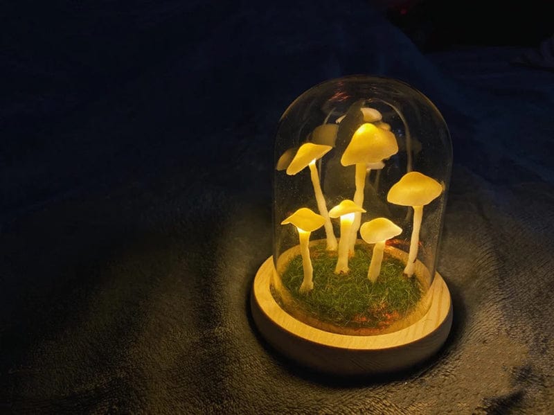 Betoverende DIY paddestoellamp voor thuisdecoratie - Image 10