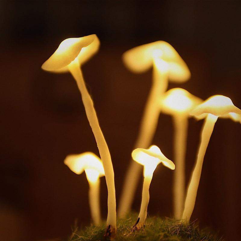 Betoverende DIY paddestoellamp voor thuisdecoratie - Image 6