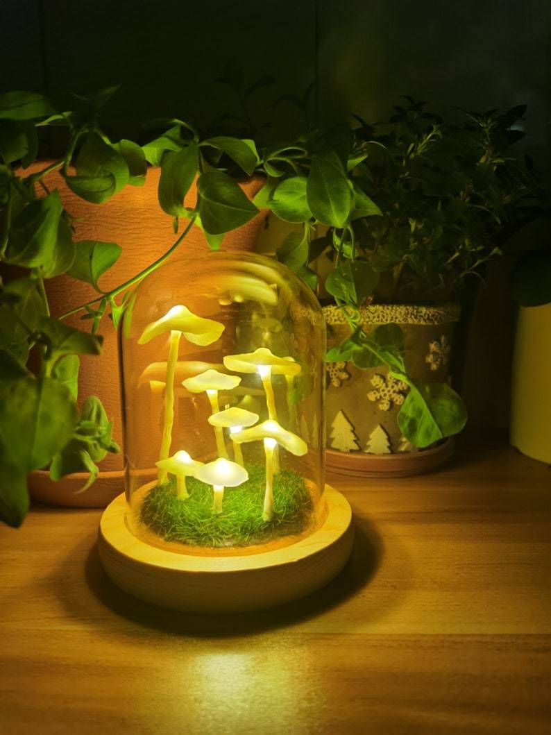 Betoverende DIY paddestoellamp voor thuisdecoratie - Image 7