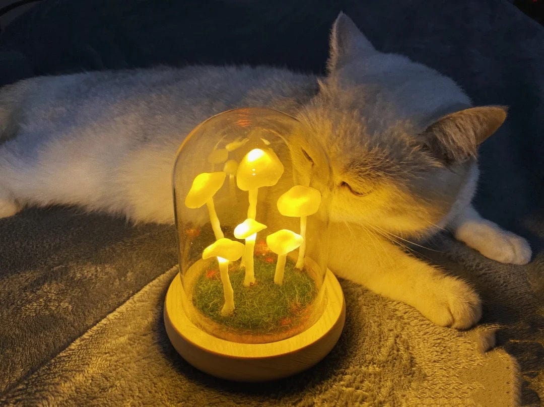 Betoverende DIY paddestoellamp voor thuisdecoratie - Image 8