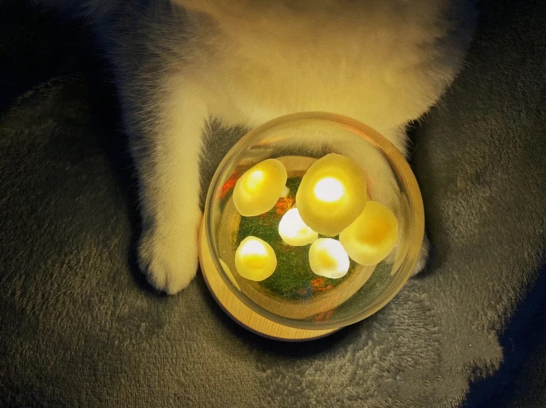 Betoverende DIY paddestoellamp voor thuisdecoratie - Image 9