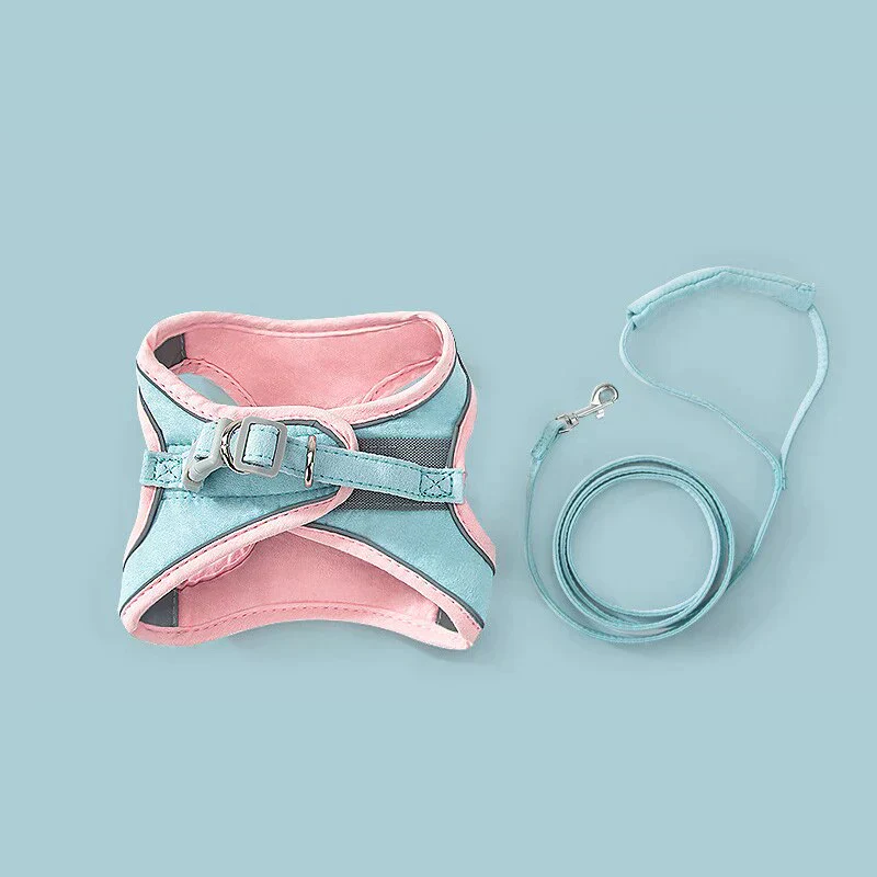 CatBelt – Comfortabel & Veilig Buiten | 50% KORTING - Image 11
