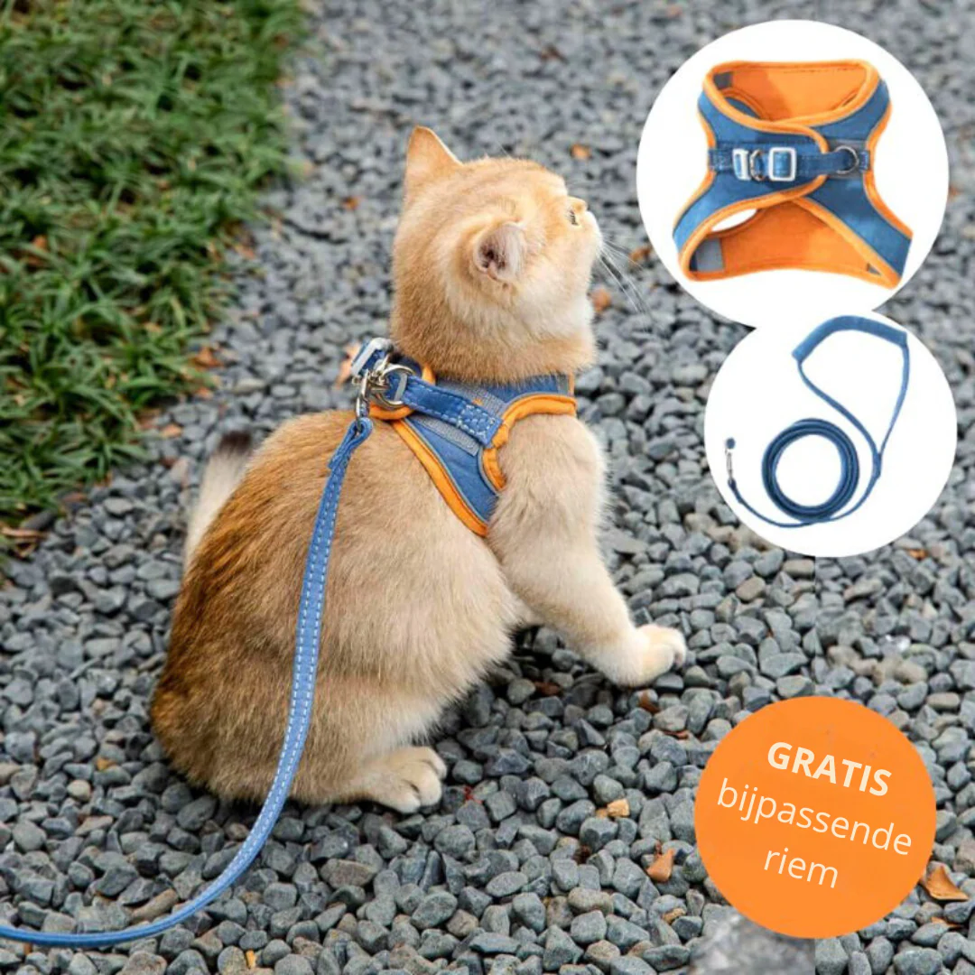 CatBelt – Comfortabel & Veilig Buiten | 50% KORTING - Image 3