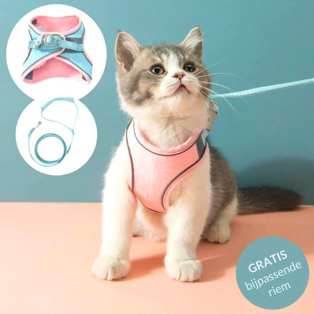 CatBelt – Comfortabel & Veilig Buiten | 50% KORTING - Image 4