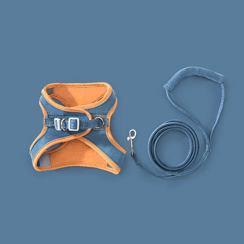 CatBelt – Comfortabel & Veilig Buiten | 50% KORTING - Image 9