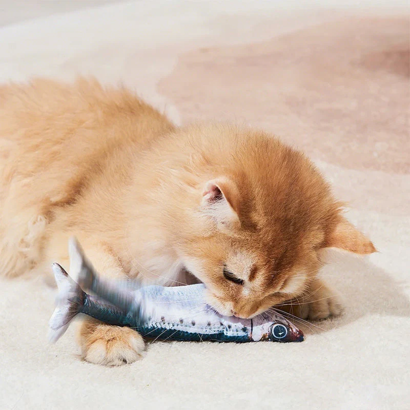 MagnetFish – Interactief Kattenspeelgoed | 1+1 GRATIS - Image 14