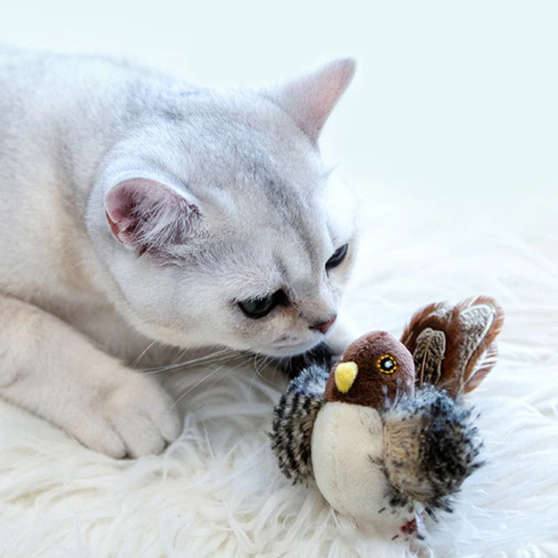 CatFun - De veilige speelkameraad voor je kat! 50% KORTING - Image 10