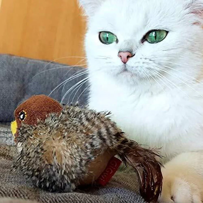 CatFun - De veilige speelkameraad voor je kat! 50% KORTING - Image 11