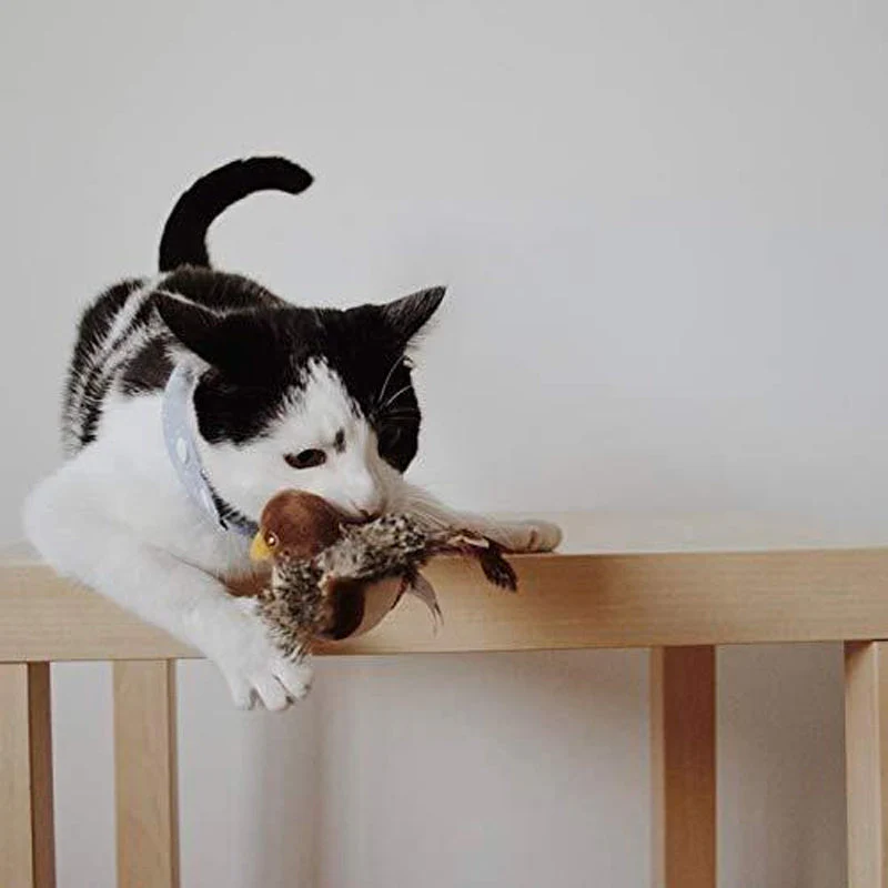 CatFun - De veilige speelkameraad voor je kat! 50% KORTING - Image 14