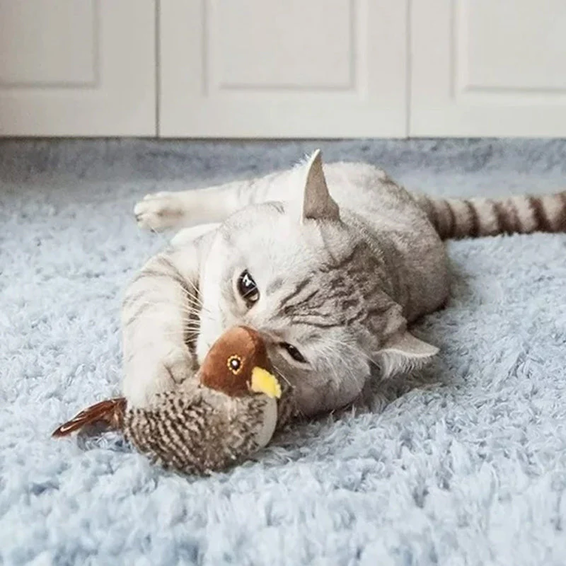 CatFun - De veilige speelkameraad voor je kat! 50% KORTING - Image 15