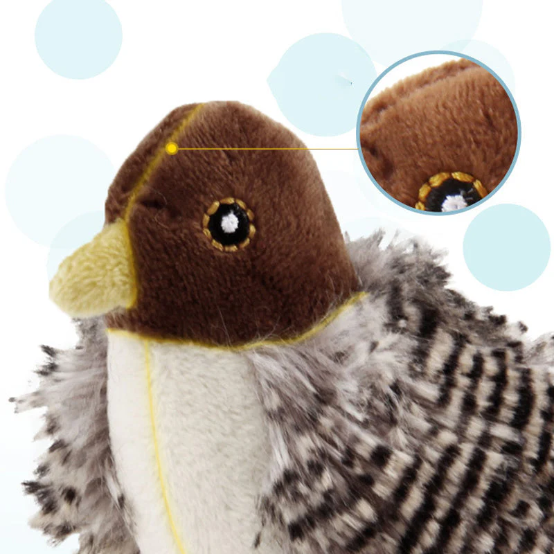 CatFun - De veilige speelkameraad voor je kat! 50% KORTING - Image 6