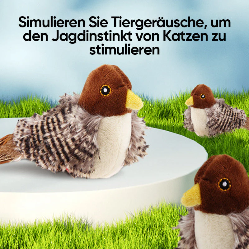 CatFun - De veilige speelkameraad voor je kat! 50% KORTING - Image 9