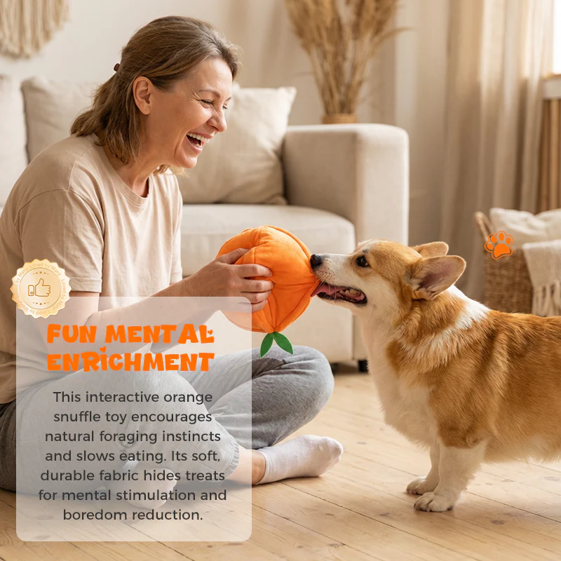 CitrusQuest — Interactief hondenspeelgoed | 50% KORTING - Image 14