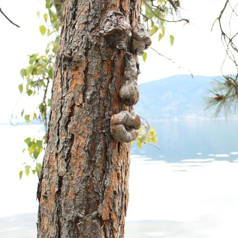 Decoratie voor buiten bomen - Image 4