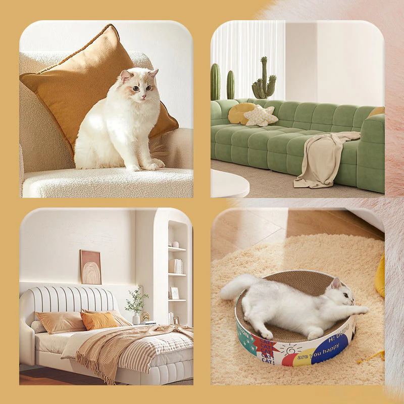 Dierenhaarroller Multifunctionele draagbare wasbare ontharing - Image 8