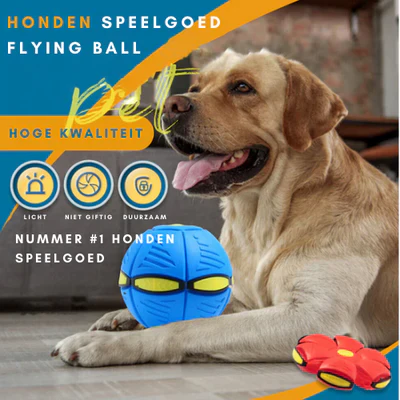 DiscBall - Transformeerbare Zweefbal voor Honden