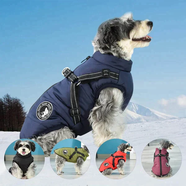 Furcata™ winterjas voor honden | 50% KORTING - Image 7