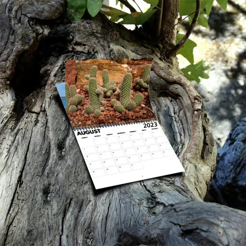 Grappige 2023 Prank-kalender voor feestdagen - Image 4