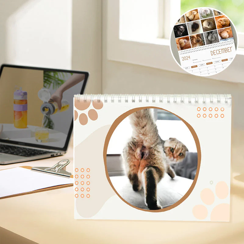 CatLaughs-Kalender 2025 – De hilarische kattenkonten en testikelskalender die je aan het lachen maakt | 50% KORTING - Image 4