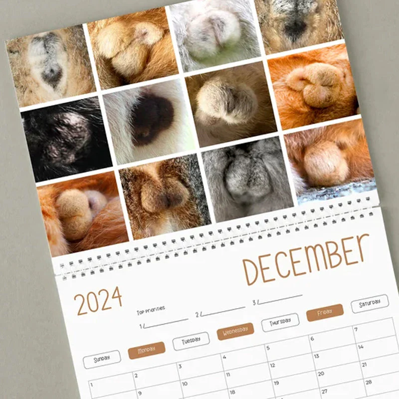 CatLaughs-Kalender 2025 – De hilarische kattenkonten en testikelskalender die je aan het lachen maakt | 50% KORTING - Image 5