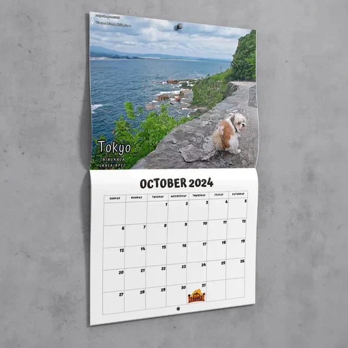 😆Grappigste kalender van de eeuw|"Artistieke expressie" van harige vrienden - Image 3