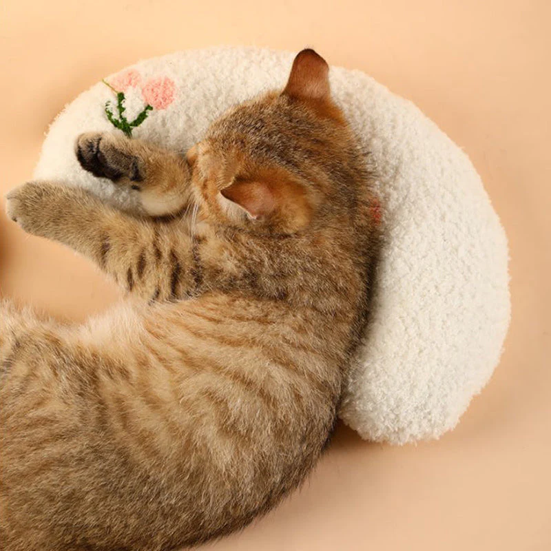 Heerlijk gezellig kussen voor katten - Image 6