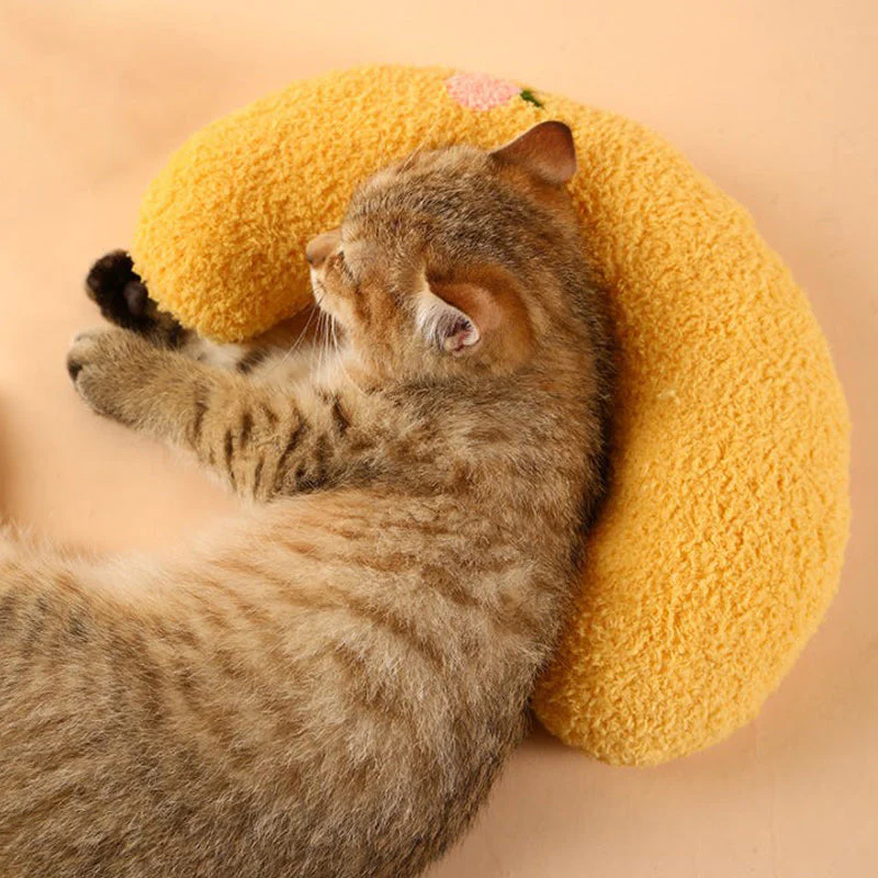 Heerlijk gezellig kussen voor katten - Image 9