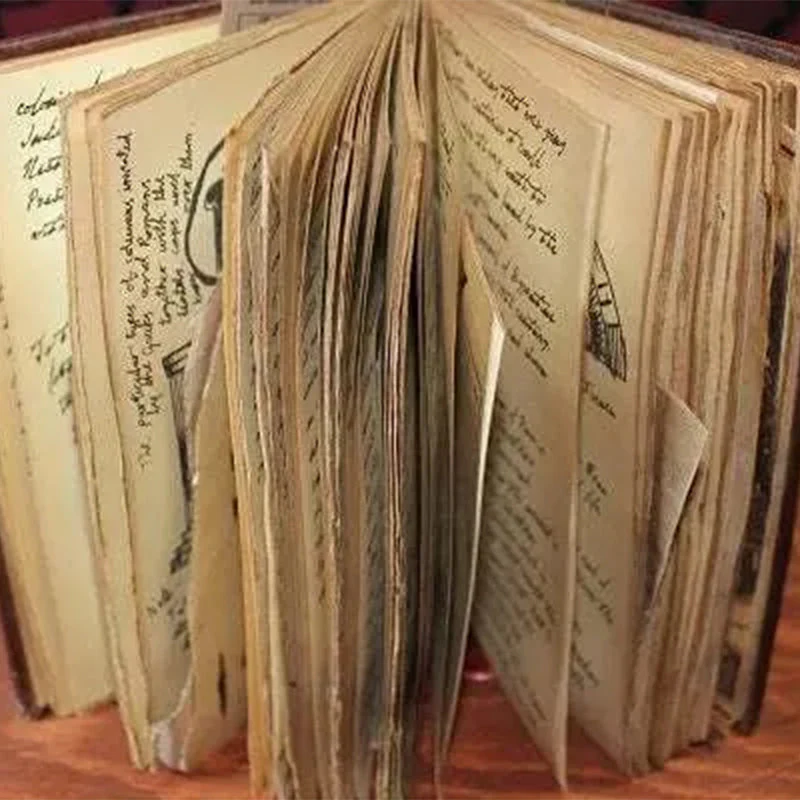 AdventureArchivist - Het dagboek van de Graal - Fan gemaakt prop replica | 50% KORTING - Image 7