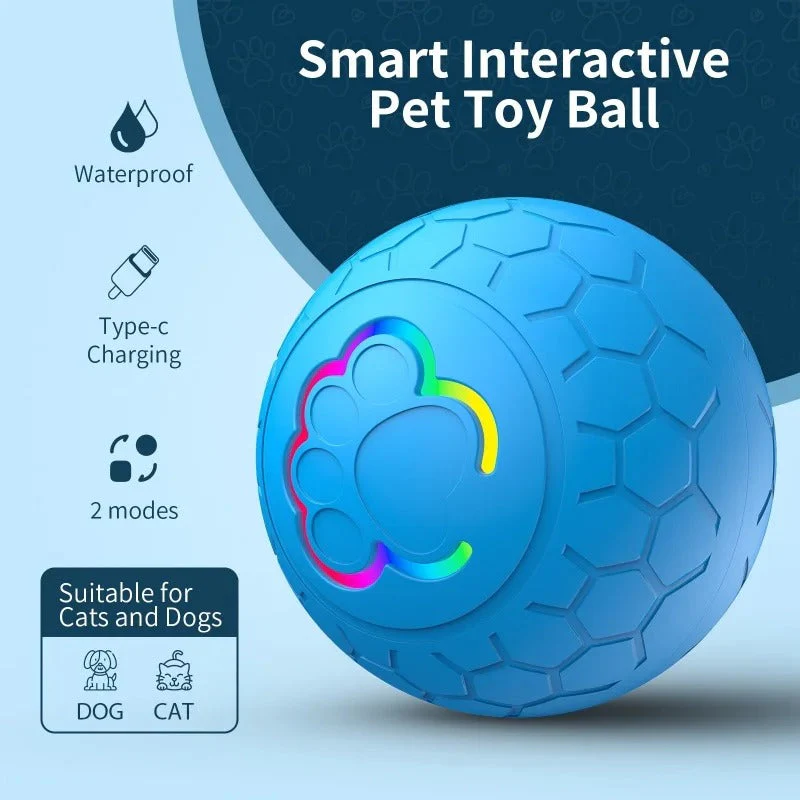 PlayPaw – Eindeloos Speelplezier met Automatische Beweging voor Je Hond | 1+1 GRATIS
