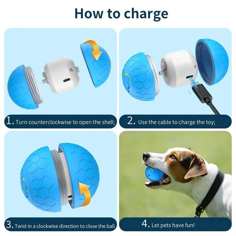 PlayPaw – Eindeloos Speelplezier met Automatische Beweging voor Je Hond | 1+1 GRATIS - Image 4