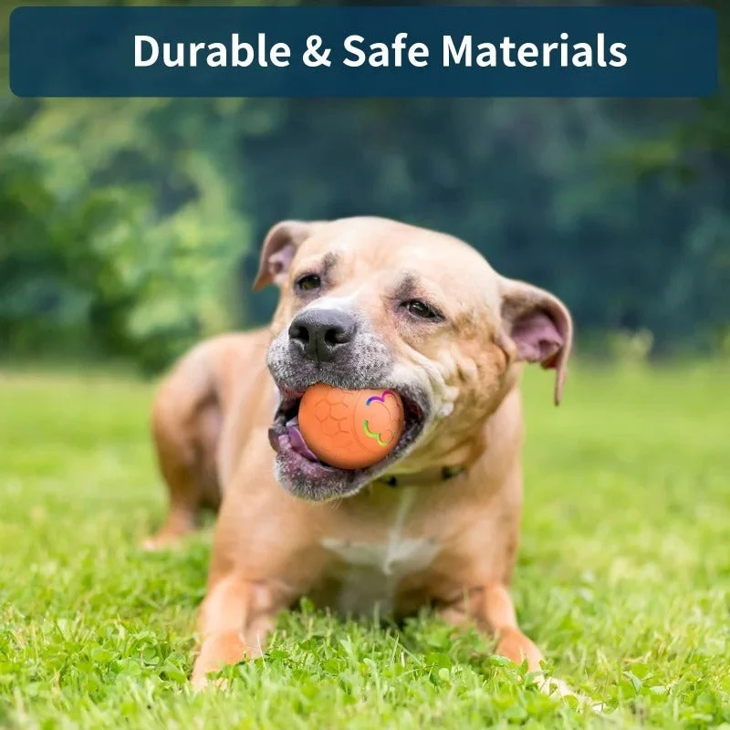 PlayPaw – Eindeloos Speelplezier met Automatische Beweging voor Je Hond | 1+1 GRATIS - Image 5