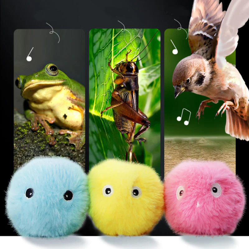 Interactieve klankbal voor katten - Image 10
