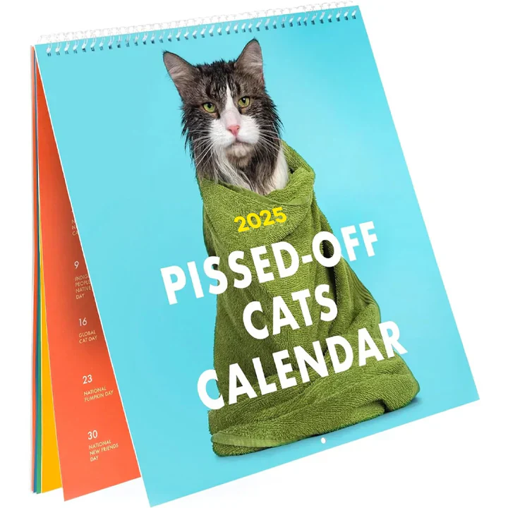 2025 KattenKalm kalender - Breng elke maand een glimlach met brutale kattenhumor | 50% KORTING - Image 3