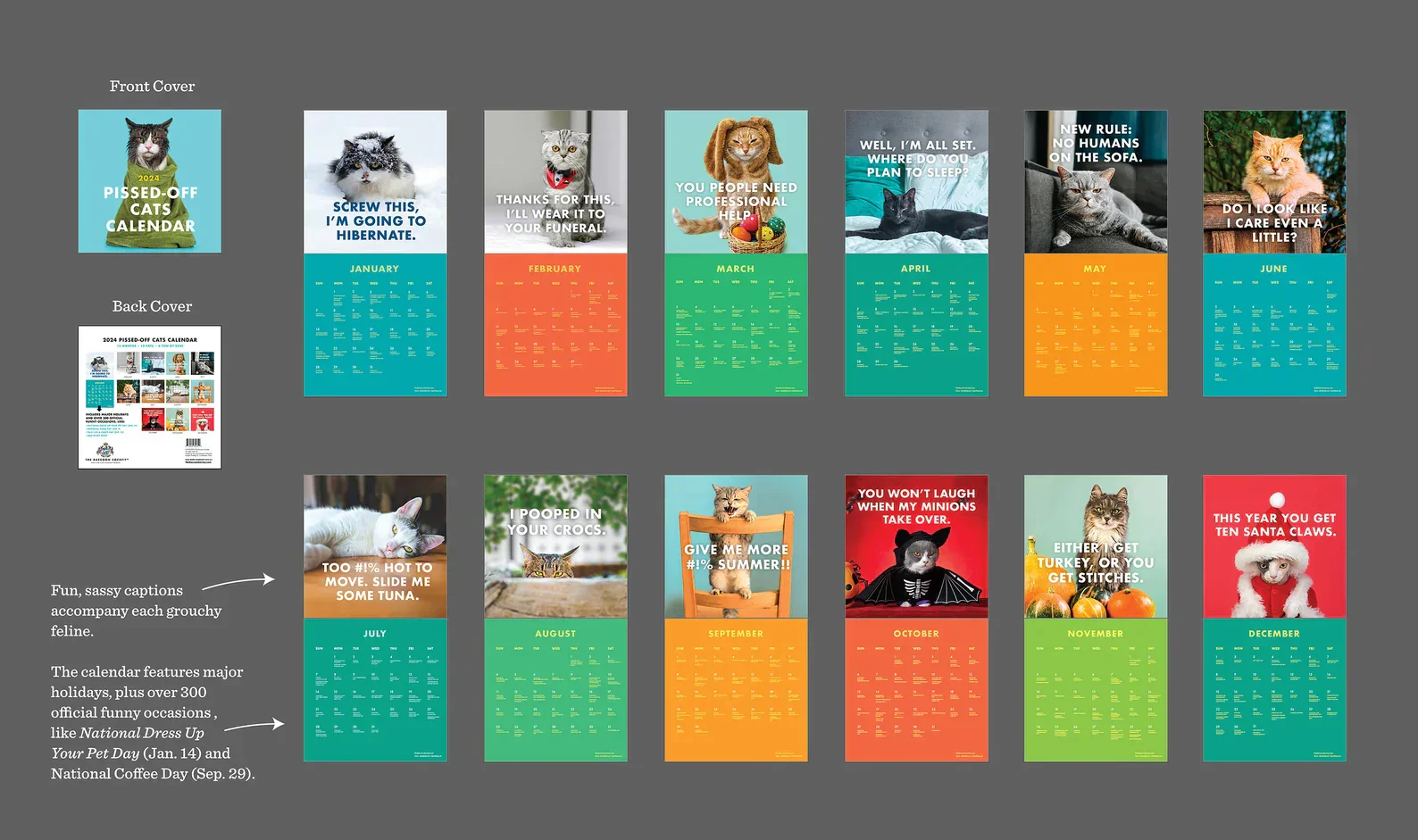 2025 KattenKalm kalender - Breng elke maand een glimlach met brutale kattenhumor | 50% KORTING - Image 4