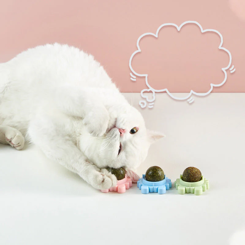 Katten knip muur Bal eetbaar katten speelgoed - Image 3