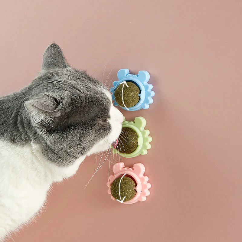 Katten knip muur Bal eetbaar katten speelgoed - Image 9