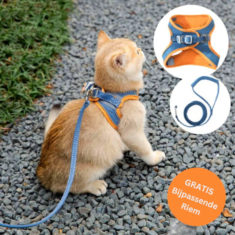 KattenRiem - Comfortabel kattentuigje met reflectie voor veiligheid in het donker| 50% KORTING - Image 3