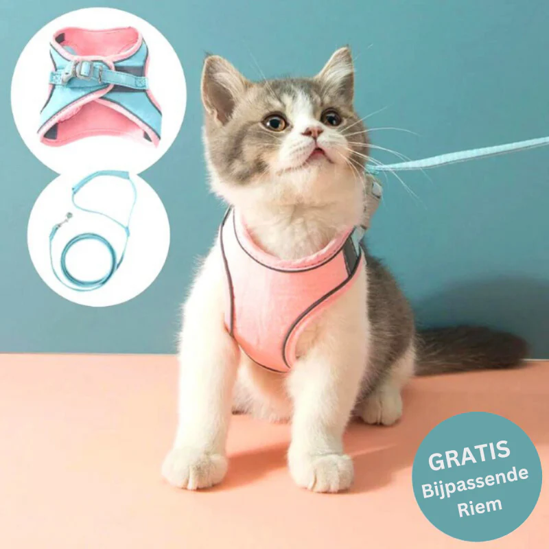 KattenRiem - Comfortabel kattentuigje met reflectie voor veiligheid in het donker| 50% KORTING - Image 5