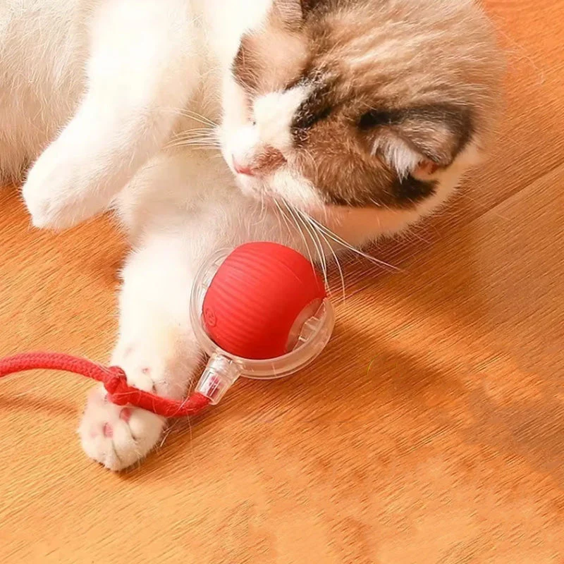 KattenPower - Interactieve kattenbal voor binnen - Image 2
