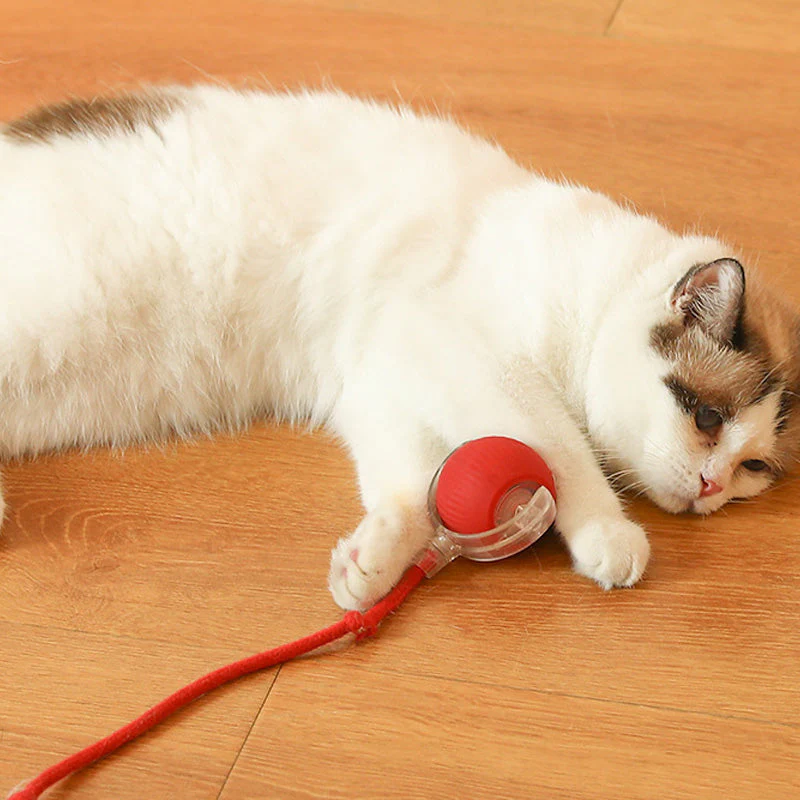 KattenPower - Interactieve kattenbal voor binnen - Image 3
