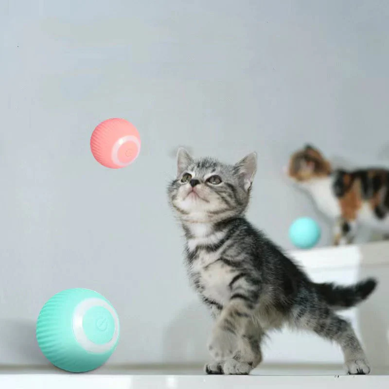 Katsy™ Activeer de natuurlijke instincten van je kat! | 50% KORTING - Image 11