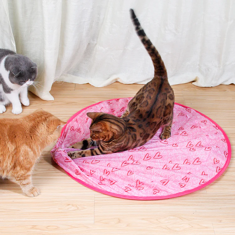 Katsy™ Activeer de natuurlijke instincten van je kat! | 50% KORTING - Image 18