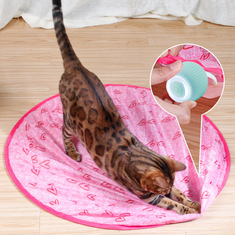 Katsy™ Activeer de natuurlijke instincten van je kat! | 50% KORTING - Image 3