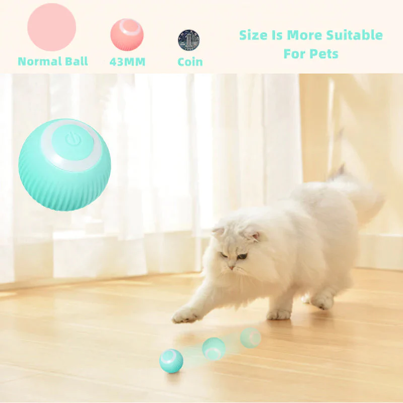 Katsy™ Activeer de natuurlijke instincten van je kat! | 50% KORTING - Image 5