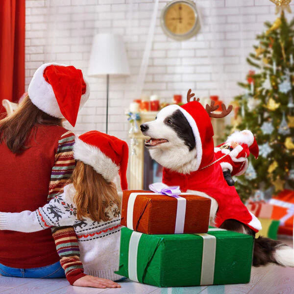 Kerst Hond | 50% KORTING - Image 4