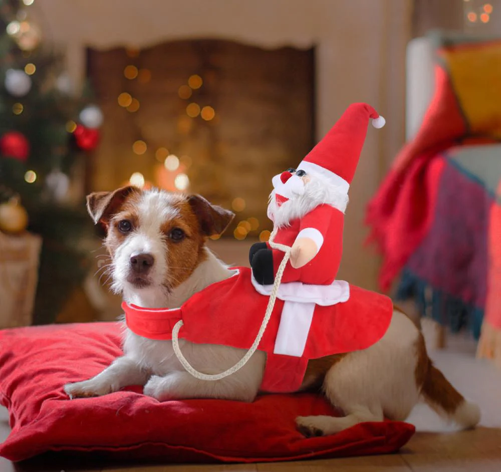 Kerst Hond | 50% KORTING - Image 6