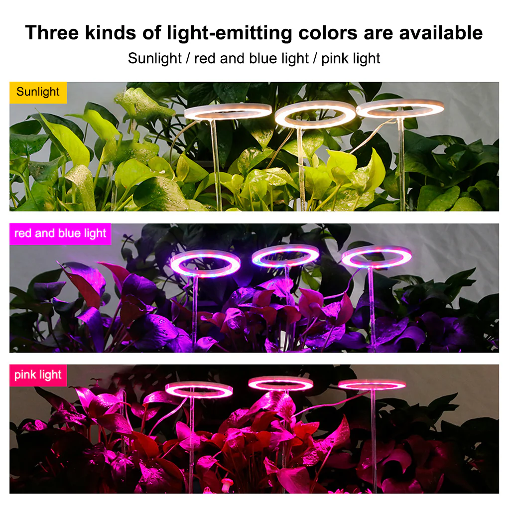 LED Cirkel Groei Lamp - met USB aansluiting - Image 3